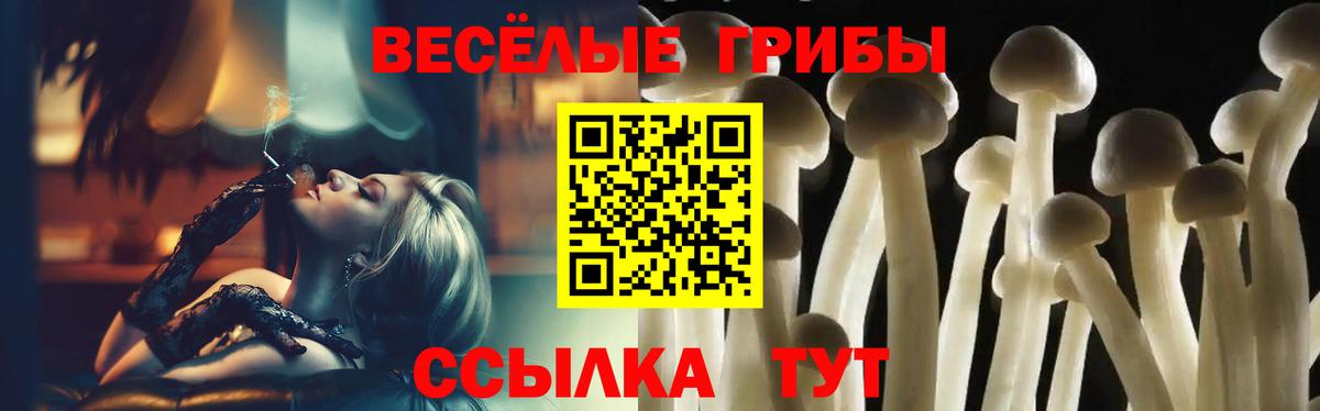 Псилоцибиновые грибы Magic Shrooms Елизово